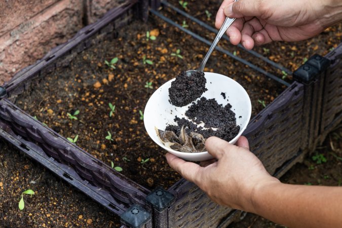 Somebody dispersing coffee grounds with a teaspoon into the soil of a small raised garden bed.