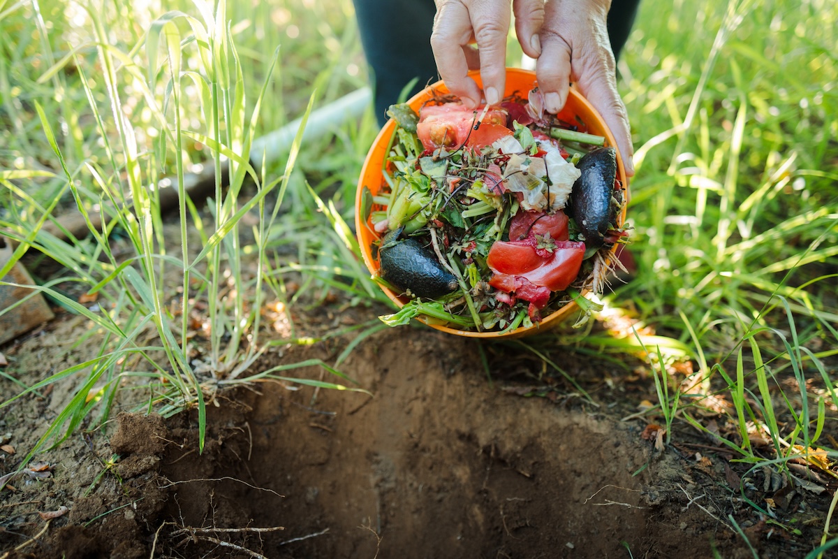 Someone dumps a bucket of compost, or organic material, into a garden bed.