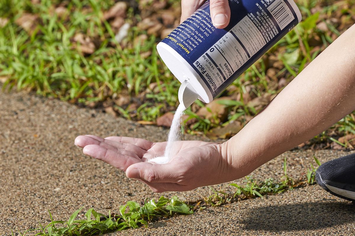 Woman pours table salt from canister into the palm of her hand, over weeds in cracks in concrete.