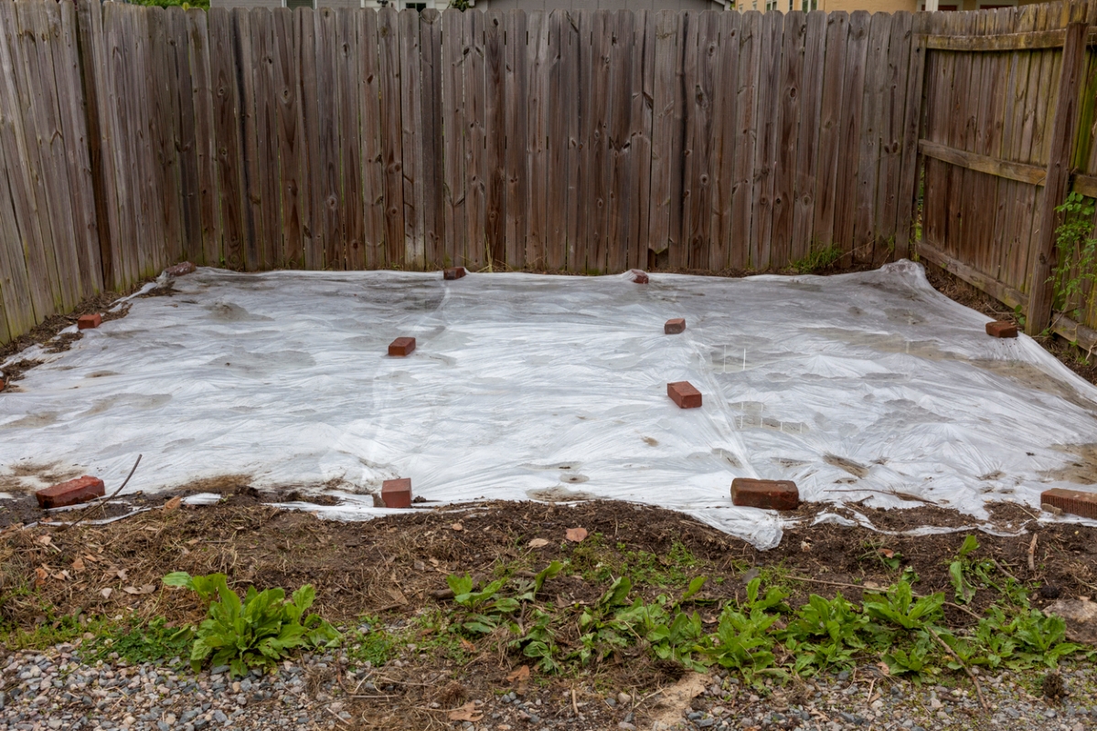 Plastic cover to kill weeds in garden