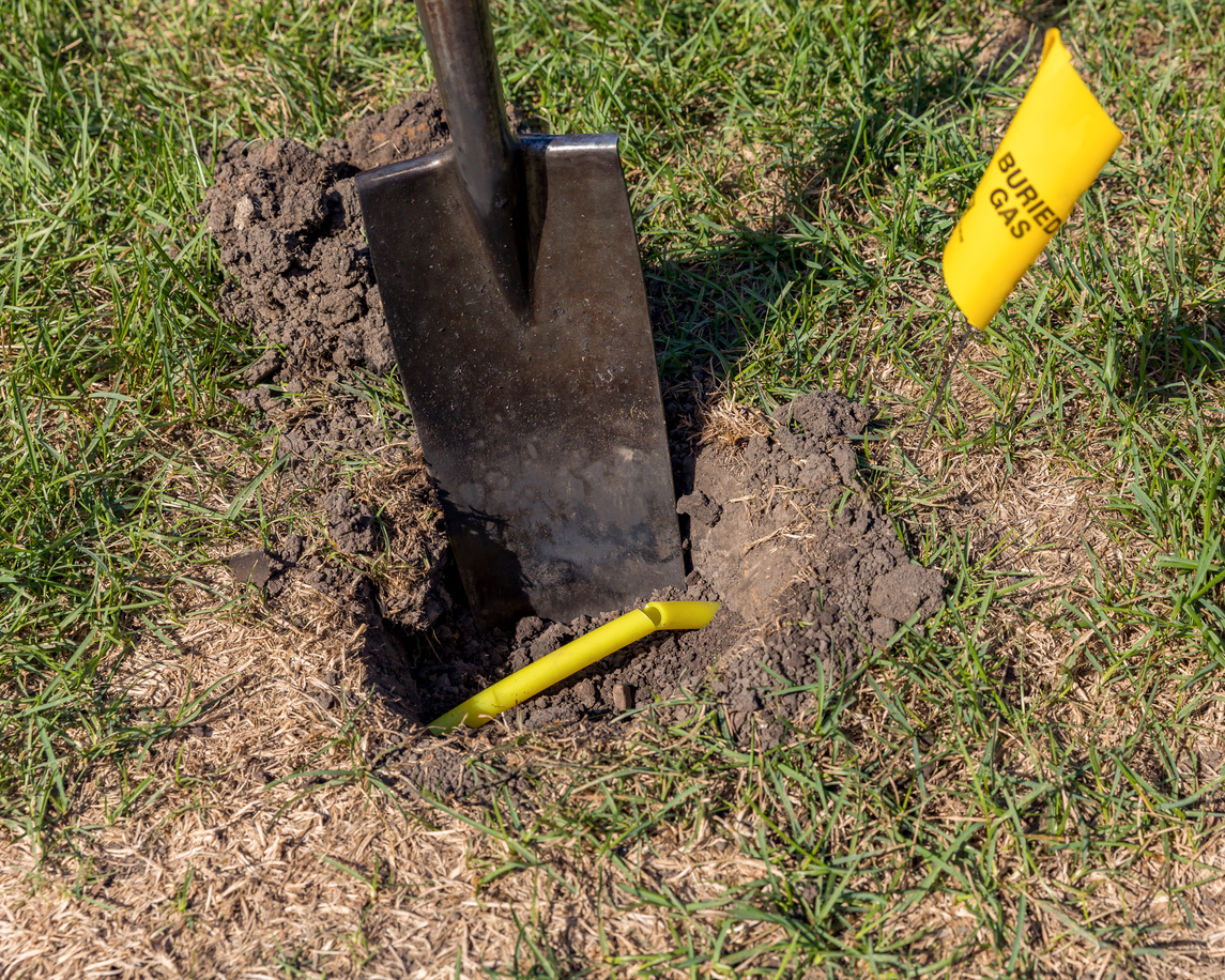 Damaged plastic natural gas line from digging hole in soil of yard with shovel. Yellow buried gas warning flag. Concept of notify utility locating company for underground utilities before digging