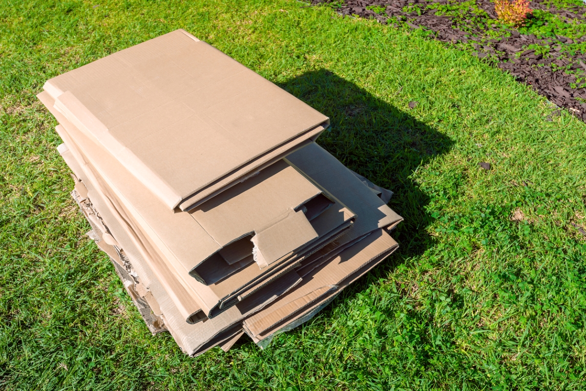 Stack of cardboard on green grass.