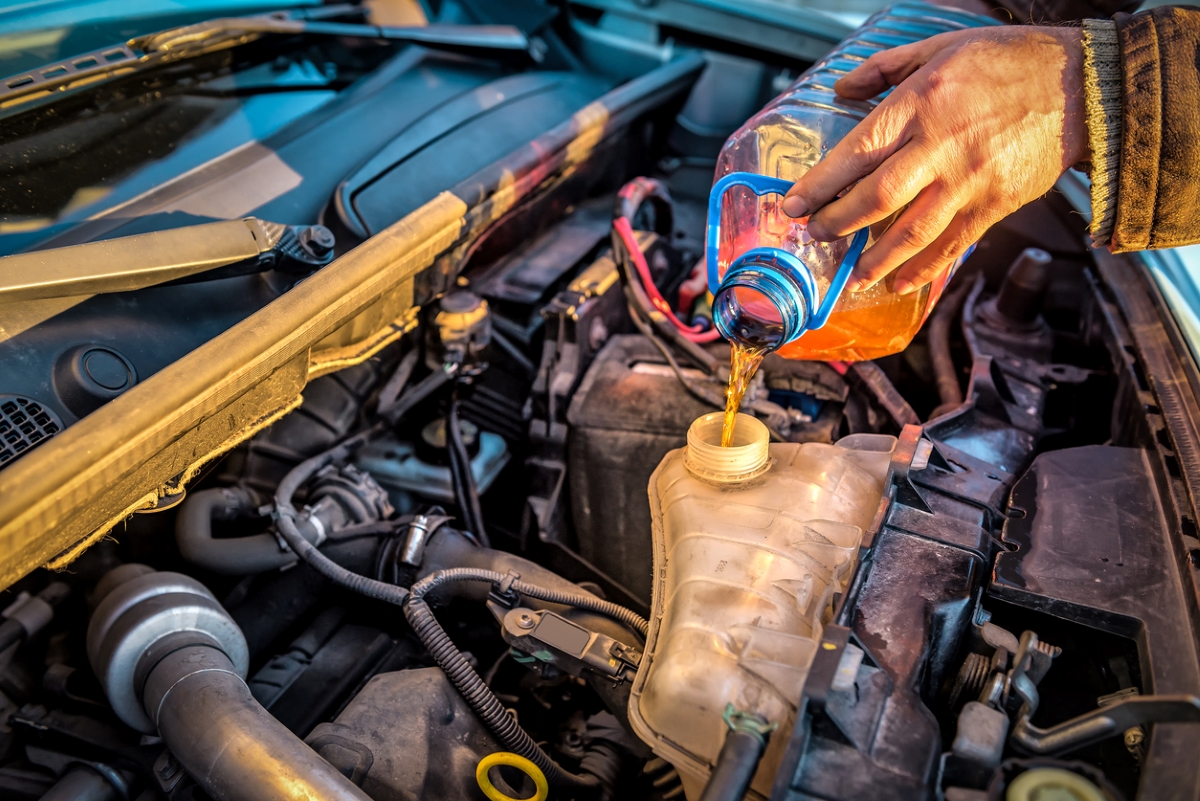 Pouring automotive fluids in car