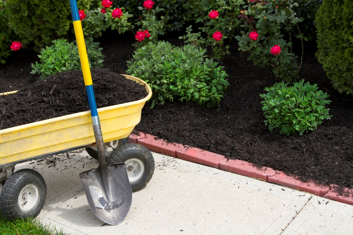 Shovel next to yellow wagon with mulch