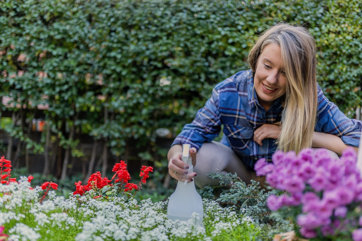 A young woman in a blue blouse sprays solution from a bottle onto a garden bed with flowers.