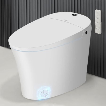  The Best Smart Toilets Option: Eplo E16 One-Piece Dual-Flush Smart Bidet Toilet