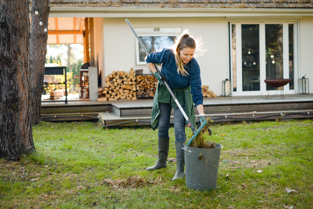 Fall Clean Up Cost