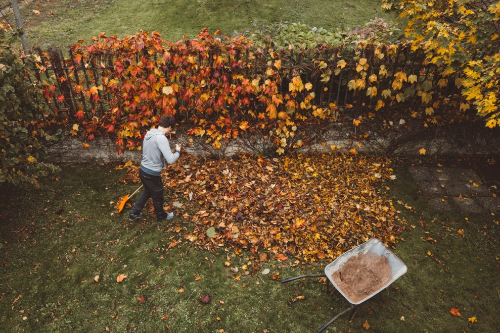 how-much-does-fall-cleanup-cost-2023-bob-vila