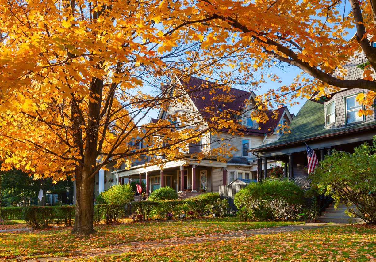 Why Do Leaves Change Color in the Fall? - Bob VIla