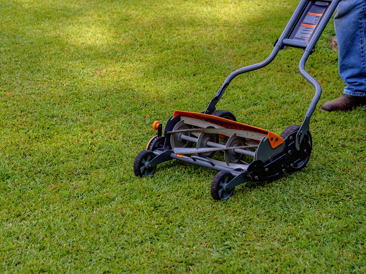 The Fiskars StaySharp Max reel mower sitting on a green lawn