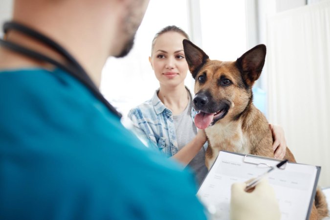 Is Pet Insurance Worth It