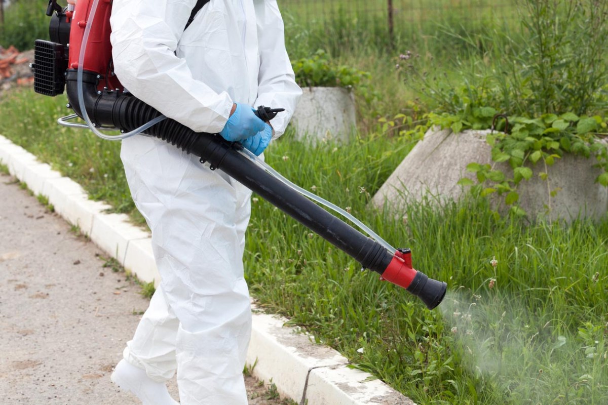 The Best Pest Control Companies in Tampa Options