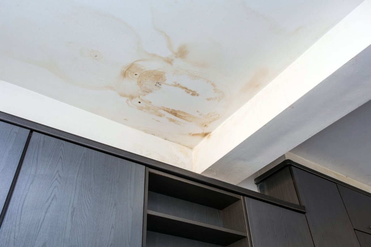 Water Damage vs. Mold