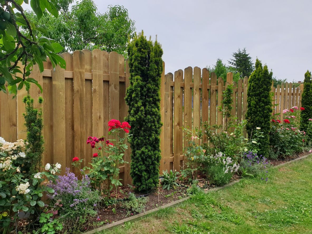 chain link vs wood fence cost