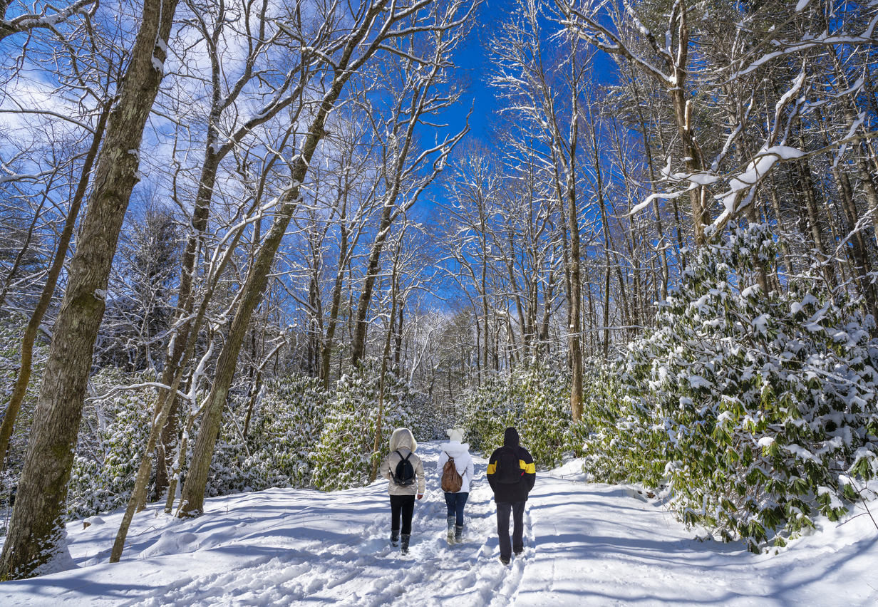 Family walking in snowy park. People hiking in the forest on a winter morning. Moses Cone Memorial Park, Blowing Rock, just off Blue Ridge Parkway, North Carolina, USA.