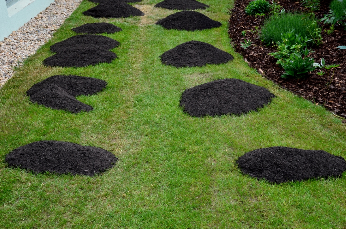 Piles of compost on green lawn.