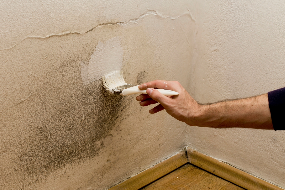 Painting heavily stained wall