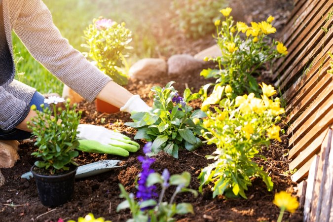 Woman wearing gloves planting a garden on a sunny day.