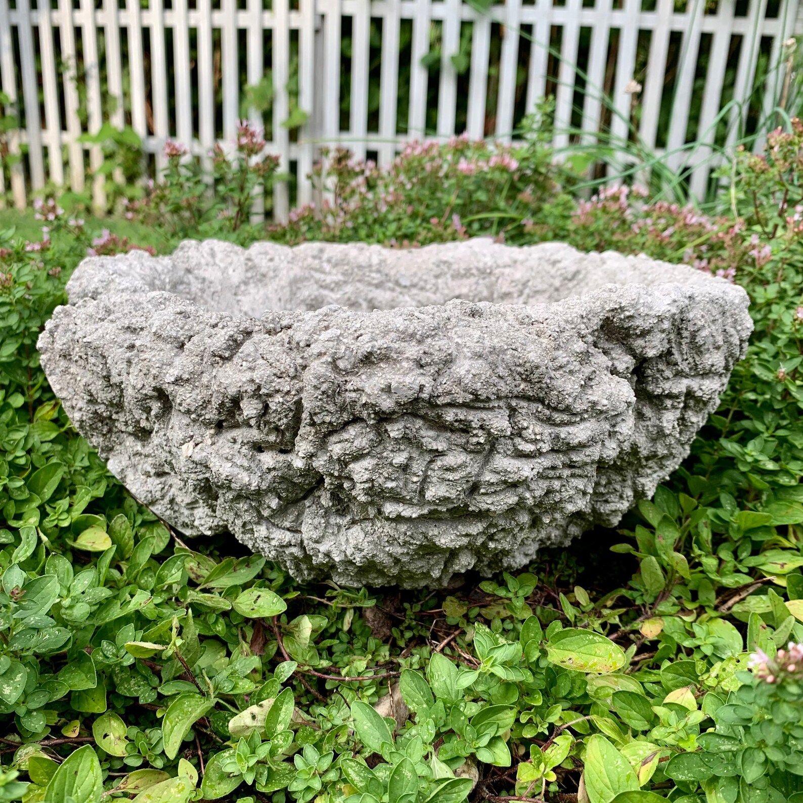 Hypertufa Planter