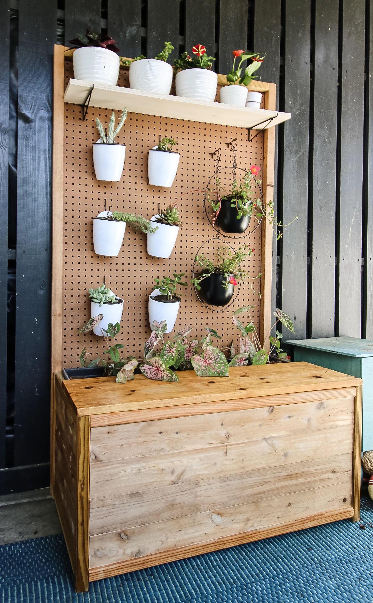 Plant Pegboard