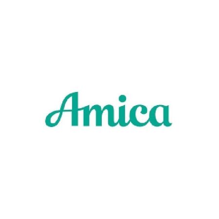  The word 'Amica' is written in green against a white background.