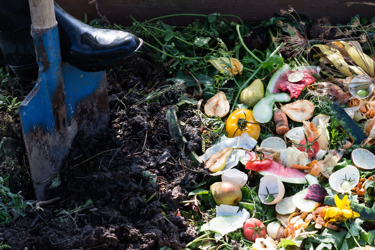 Worker digging compost box outdoors full with garden browns and greens and food wastes.