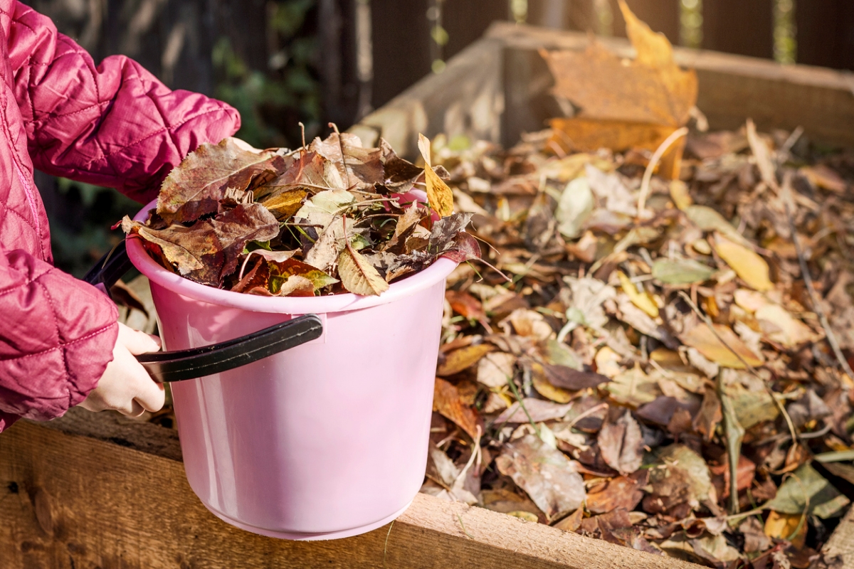 Person putting fallen leaves in garden bed