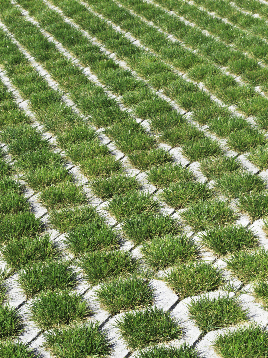 permeable driveway pavers with grass growing through for runoff control