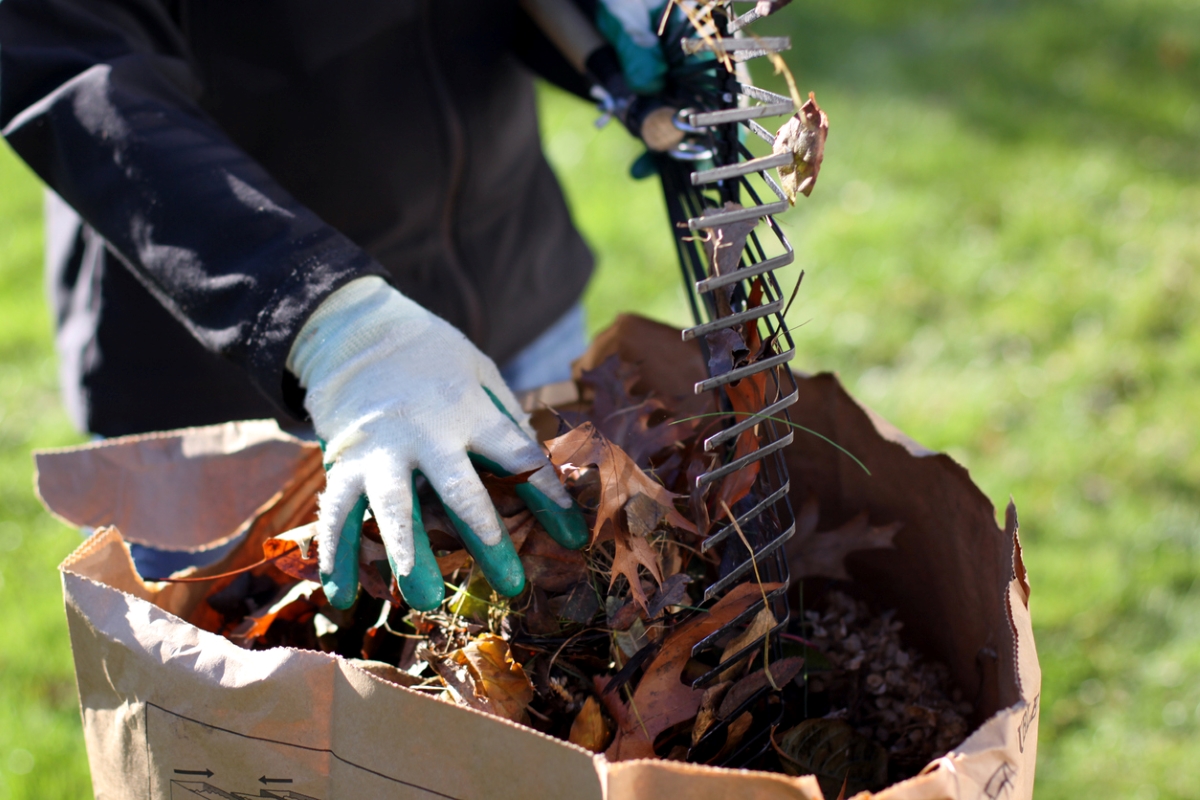 Person wearing gloves and putting leaves in bag