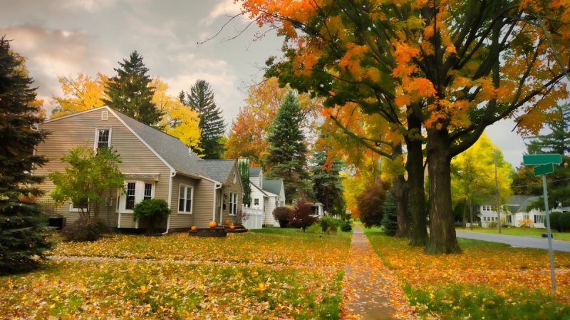 View of neighborhood with fall leaves on the ground