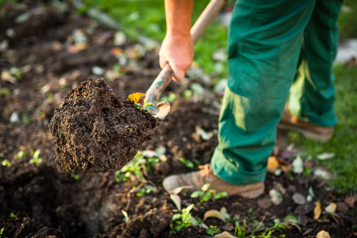 Person shoveling dirt