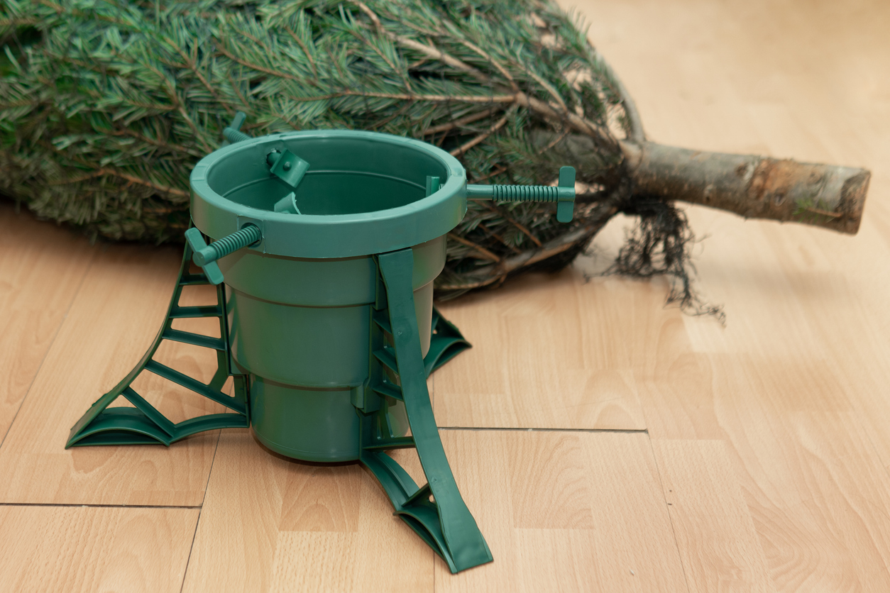 Just purchased Christmas tree lying on the floor next to a plastic stand. Preparing for the Christmas and New Year celebration.