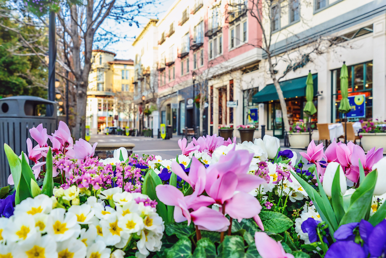 A view of downtown San Jose with a bed of flowers in the foreground.