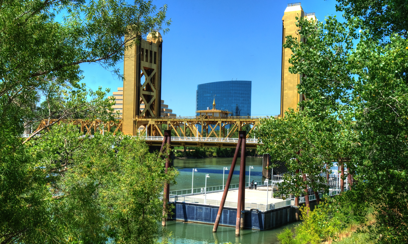 Trees, a bridge over water in Sacramento.