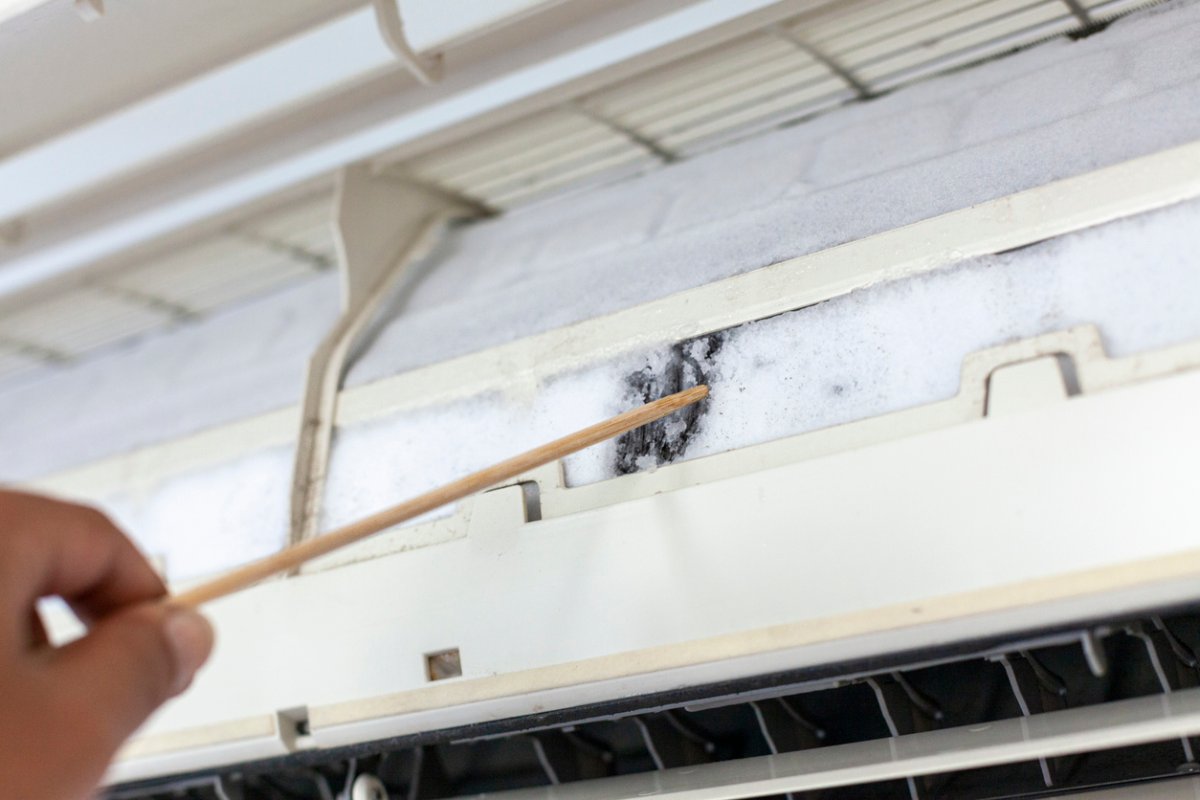 Signs of Black Mold in Air Vents