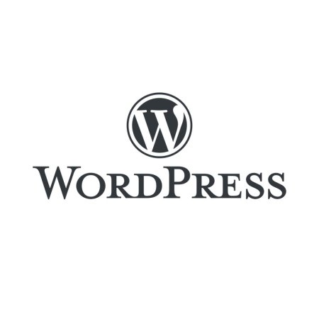  The word 'WordPress' appears in black letters with the company's logo on a white background.