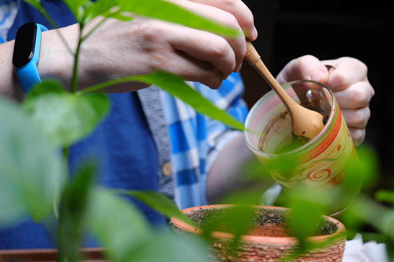 A-person-scrapes-used-coffee-grounds-out-of-a-mug-near-plants.