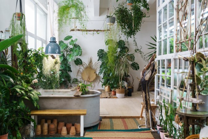 White room with many tropical houseplants hung from ceiling and in planters.