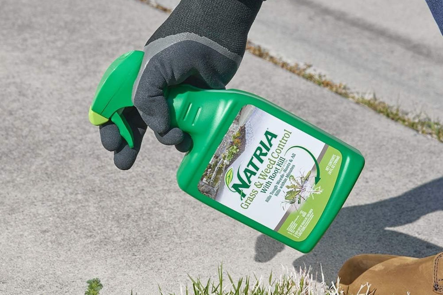 7 Best Pet-Safe Weed Killers That Actually Work (2024 Guide)