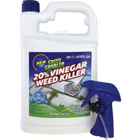  The Green Gobbler 20% Vinegar Weed and Grass Killer in a jug with a spray trigger next to it.