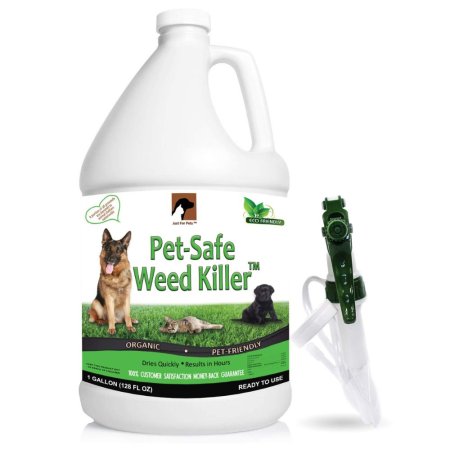  A jug of the Just for Pets Weed Killer on white background with a spray trigger next to it.