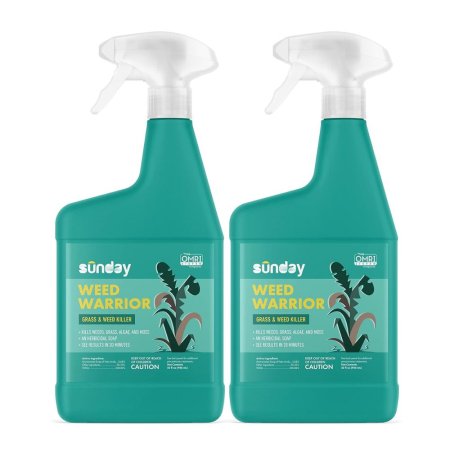  Two teal spray bottles of the Sunday Weed Warrior Grass and Weed Killer on a white background.