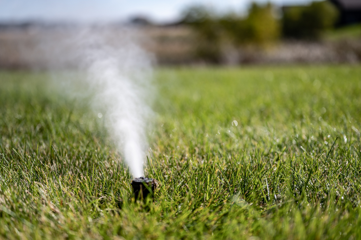 winterizing a irrigation sprinkler system by blowing pressurized air through to clear out water. High quality 4k footage