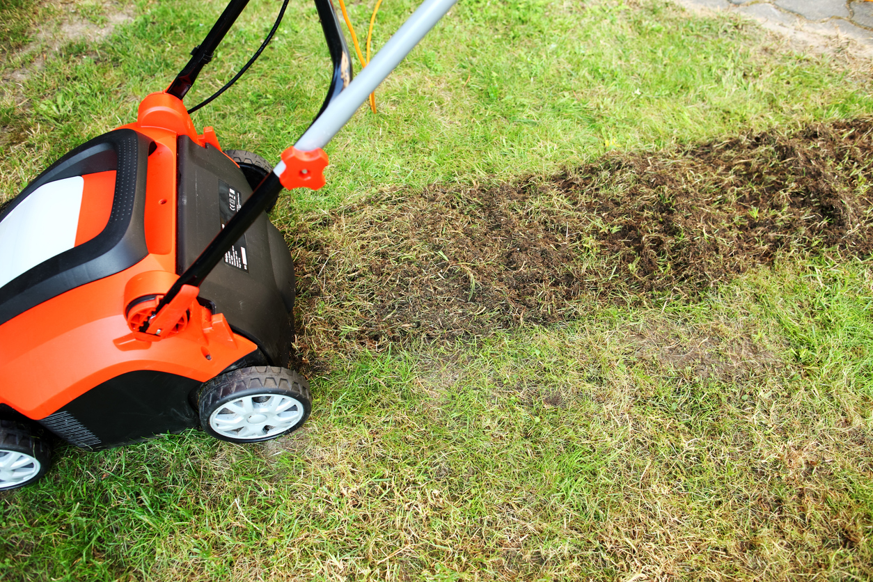 electric Aerator (Polish translation: wertykulator elektryczny)