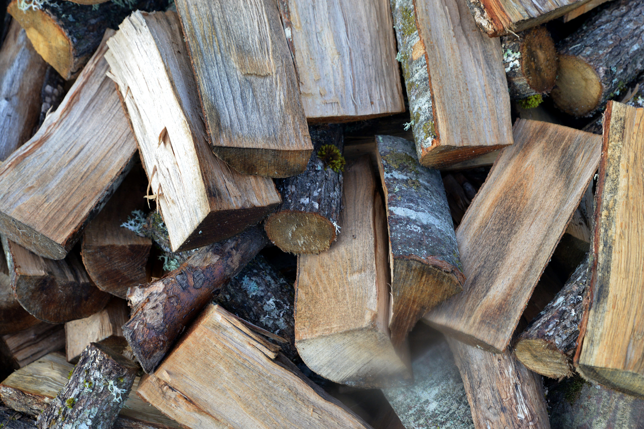 A pile of split wet firewood.