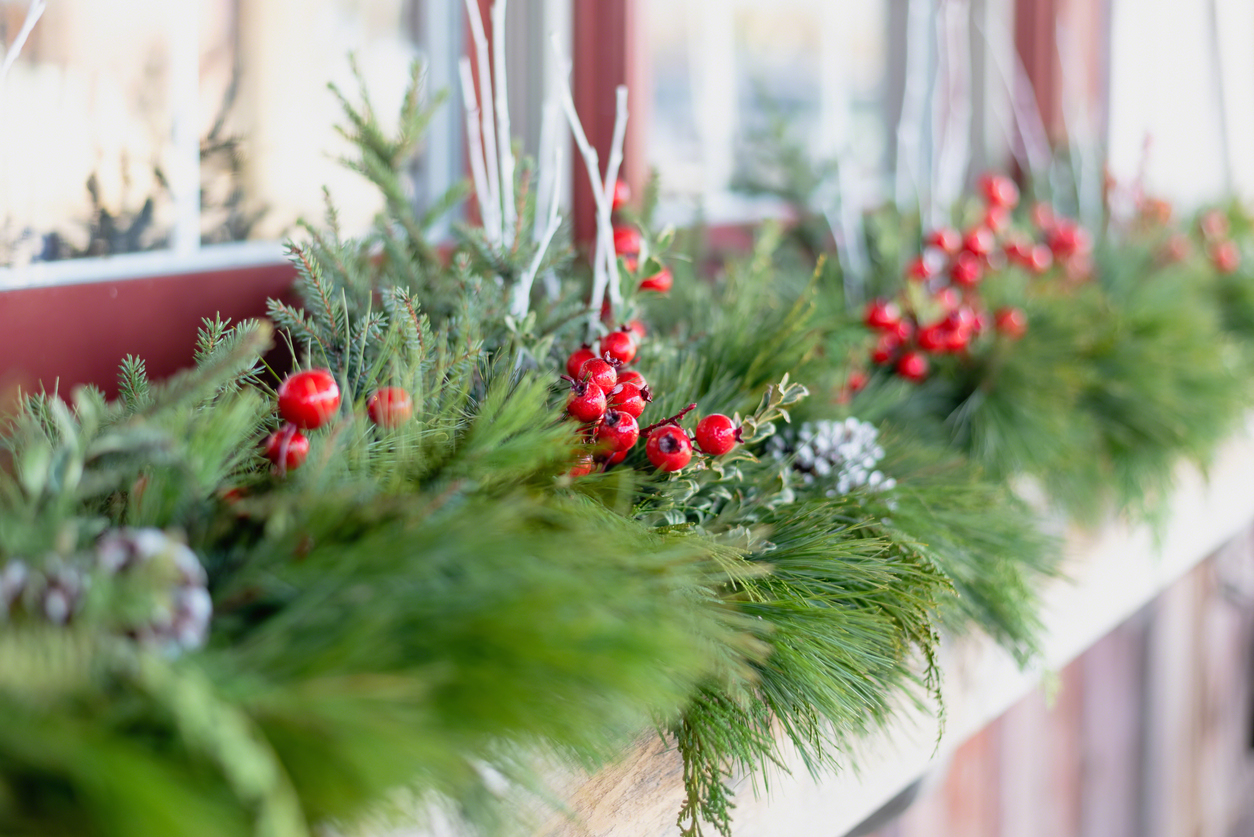 Window box in winter with evergreen boughs, red berries, and other greenery.