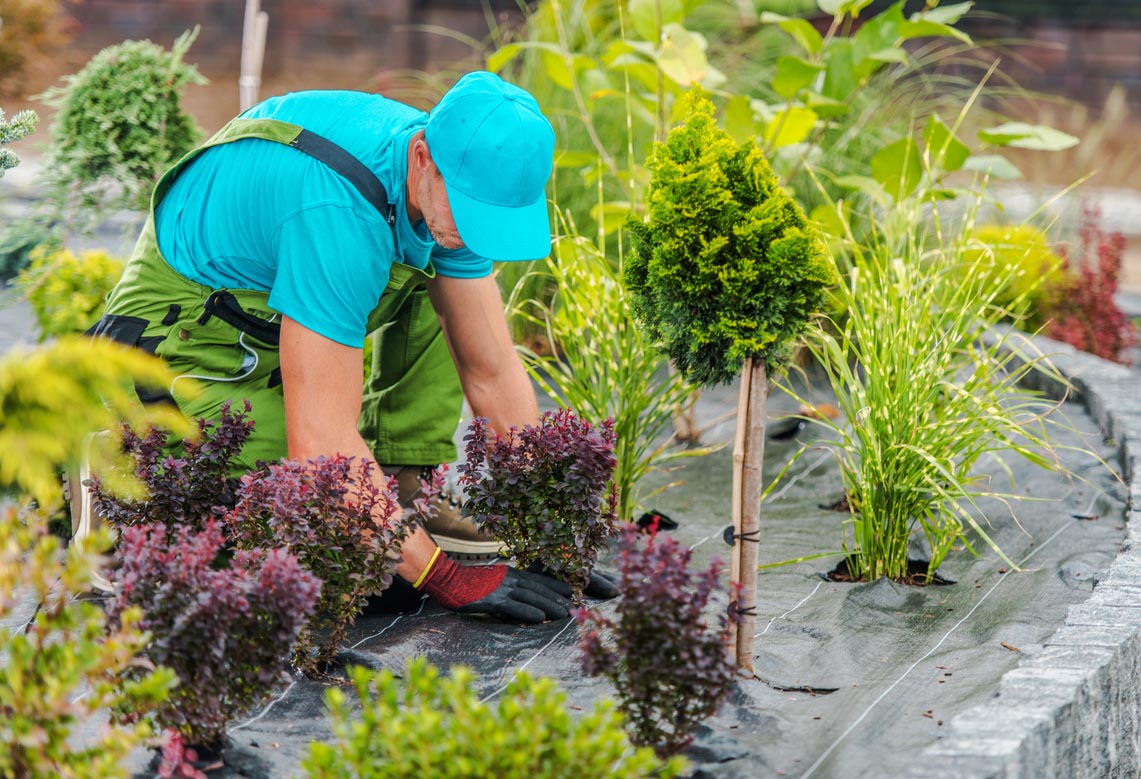 Average Landscaper Salary