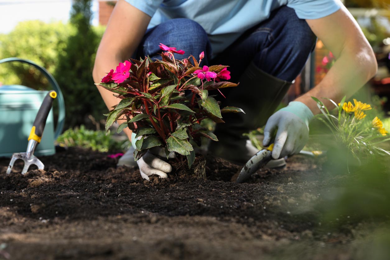 How to Become a Landscaper