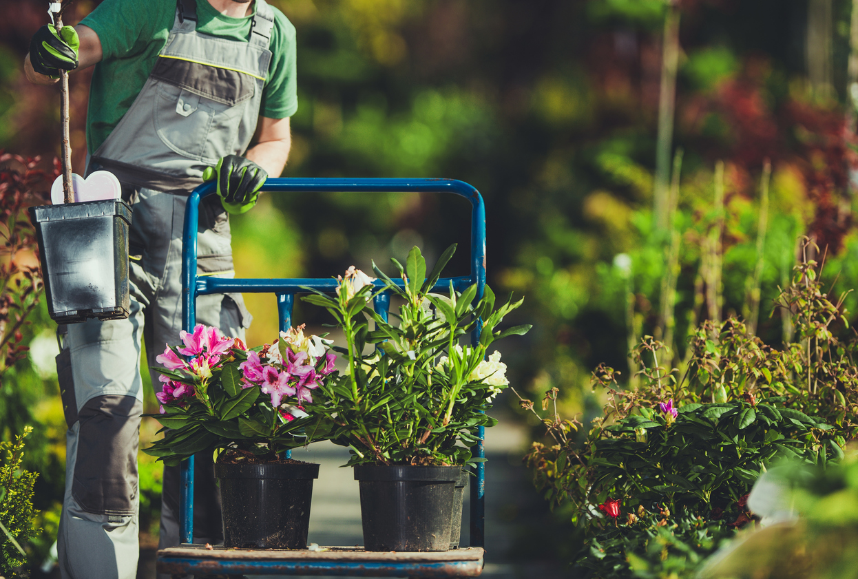 How to Start a Landscaping Business