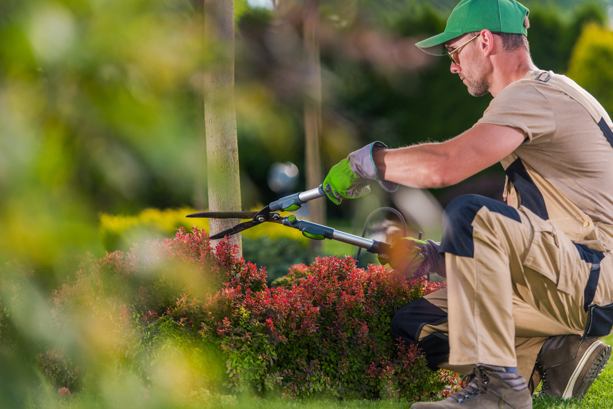 How to Start a Landscaping Business